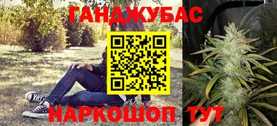 прущие грибы Краснокаменск
