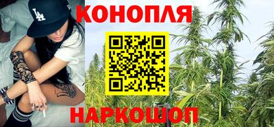прущие грибы Краснокаменск