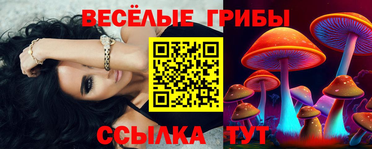 Тобольск  где найти наркотики  Вход с VPN  Псилоцибиновые грибы ЛСД 